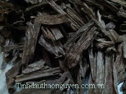 tinh dầu tr&agrave;m